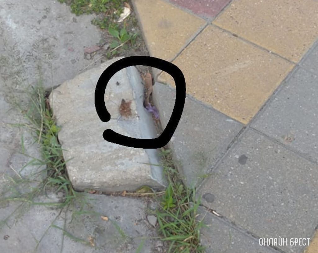 Остановка на против «Чулочки» в Бресте. Можно очень легко пробить ногу. Будьте осторожны!