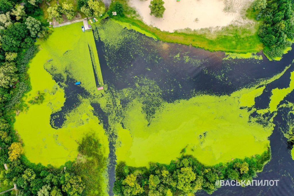 Осенний Брест