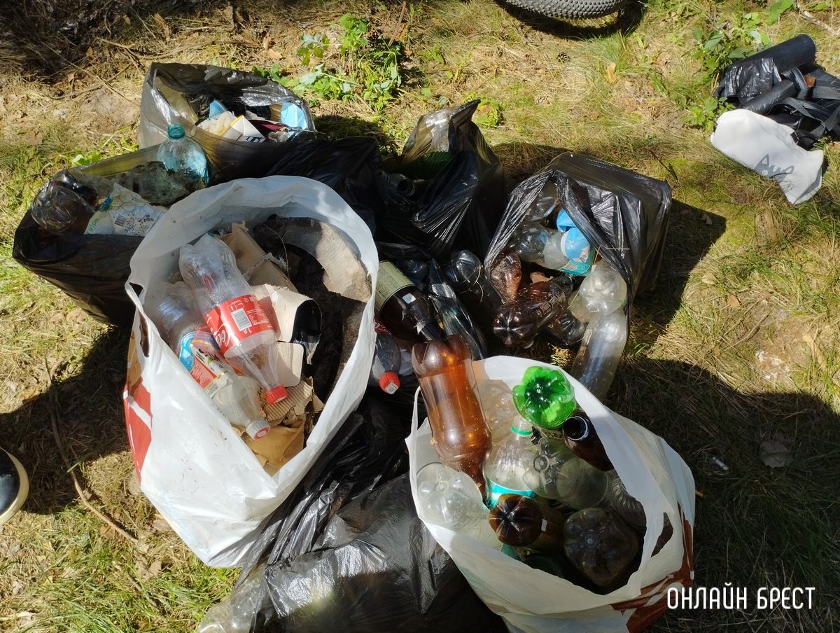 Читательница: С подругами решили собрать мусор в лесу. Вот что получилось. Брестский район, д. Лыщицы