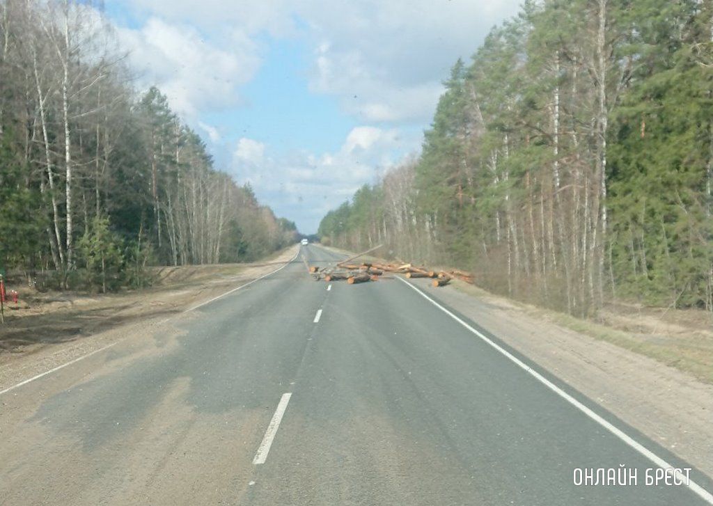 Очевидец: В Ивацевичском районе лесовоз растерял брёвна