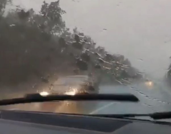 Читатель: Это так под Брестом льёт дождь, что еле «дворники» справляются