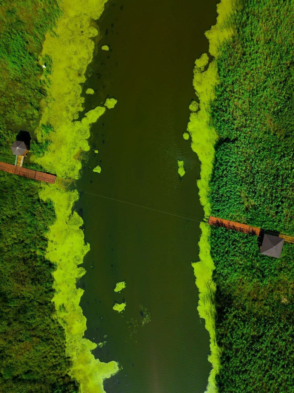 Экотропа в биологическом заказнике «Споровский» с двумя паромными переправами через реку Ясельда. Протяженность тропы 1,5 км