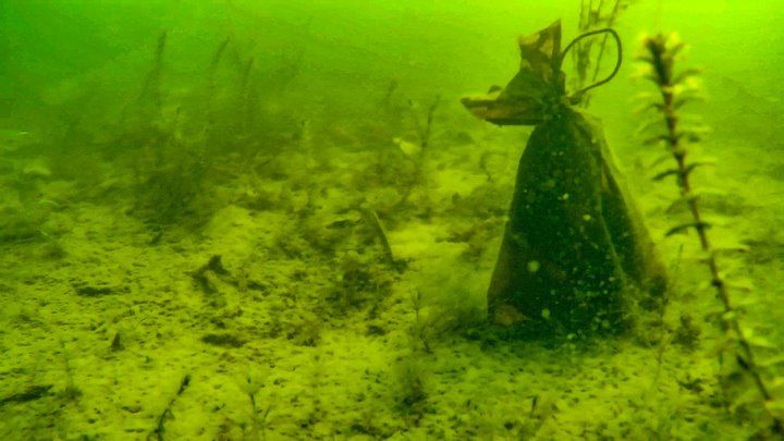 Что можно найти на дне водоема? Съемка подводным дроном возле Бреста