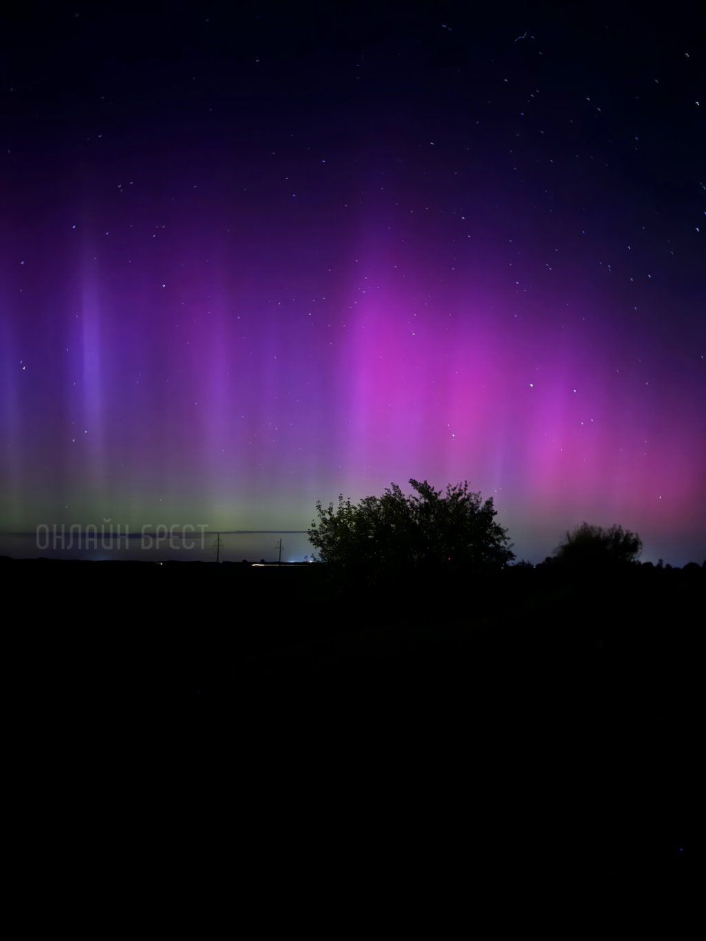 Читатель: Северное сияние! Так сейчас выглядит небо в Брестской области