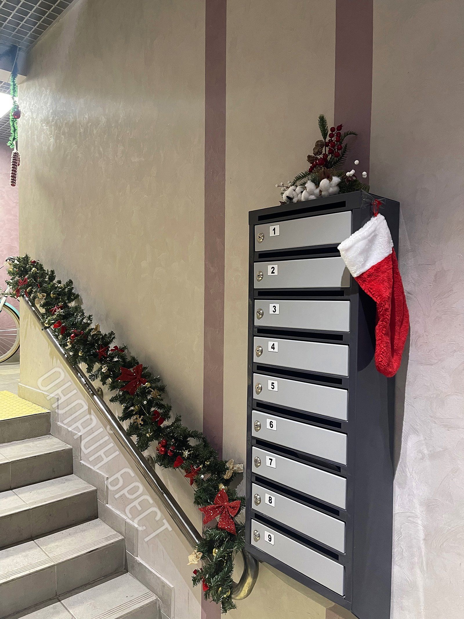 Читатель: Украшение подъезда на ул. ГОБК в Бресте