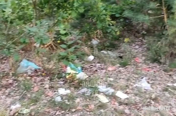 Читатель: Всё в мусоре... Люди, почему не убираете за собой? Брест, Красный двор
