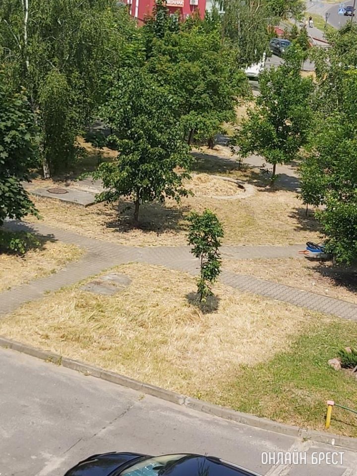 Хотелось бы обратить внимание на состояние песочницы на ул. Вульковской, 100/1