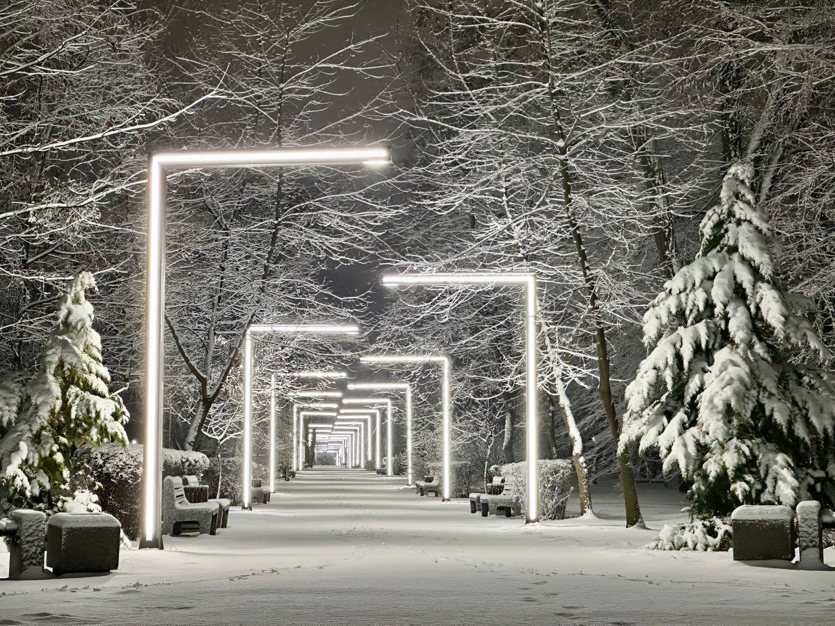 Снежная красота! Так выглядит парк культуры и отдыха в Бресте