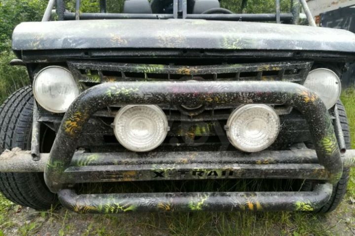 Посмотрите, какой «эксклюзивный Багги» продается в Кобрине