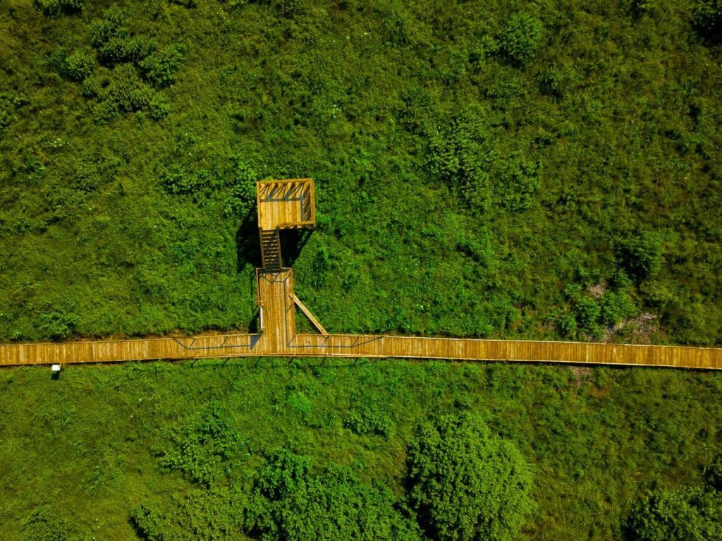 Экотропа в биологическом заказнике «Споровский» с двумя паромными переправами через реку Ясельда. Протяженность тропы 1,5 км