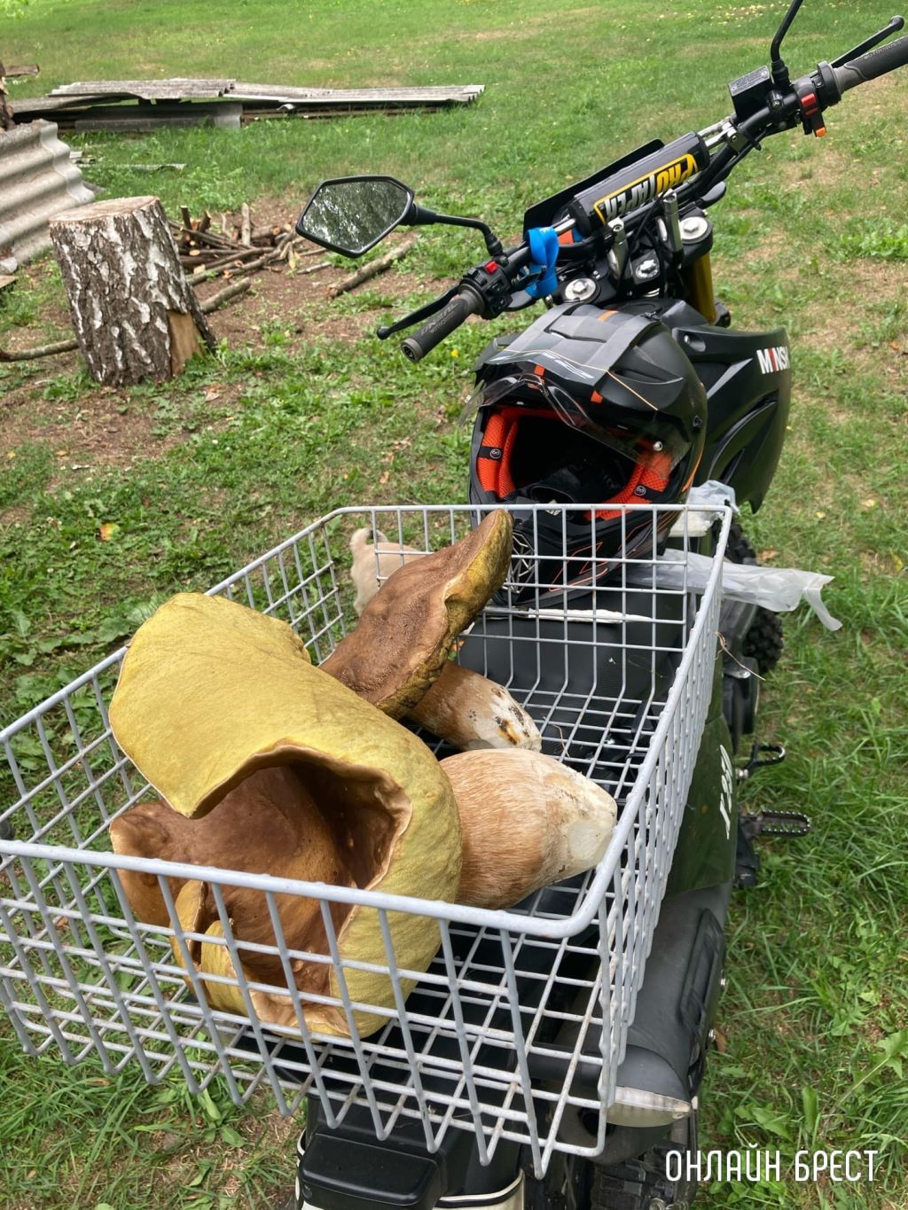 Белый, 1 кг 300 грамм, без червей! Кобринский район д. Бельск