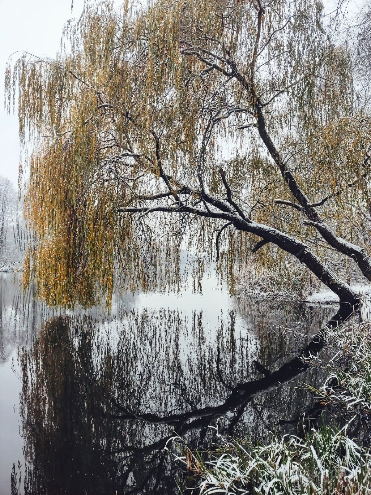 Первый снег  в Жабинке!