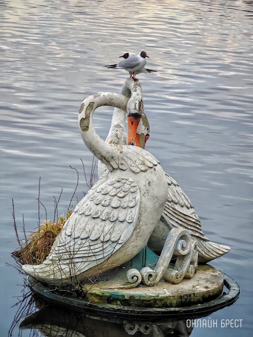 Читатель: «Влюбленные лебеди» на Набережной Бреста. Очень красивая скульптура! Жаль, что состояние не идеальное