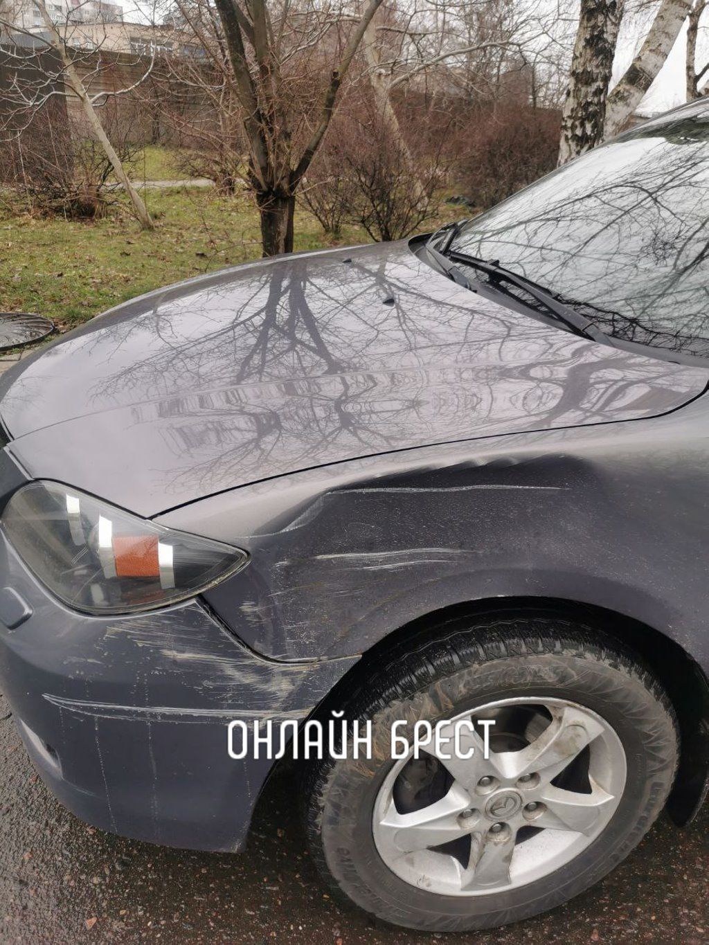 Читатель: В Бресте неизвестный повредил автомобиль