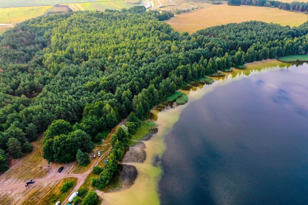 Озеро Мульное, д. Тышковичи, Ивановский р-н, Брестская область