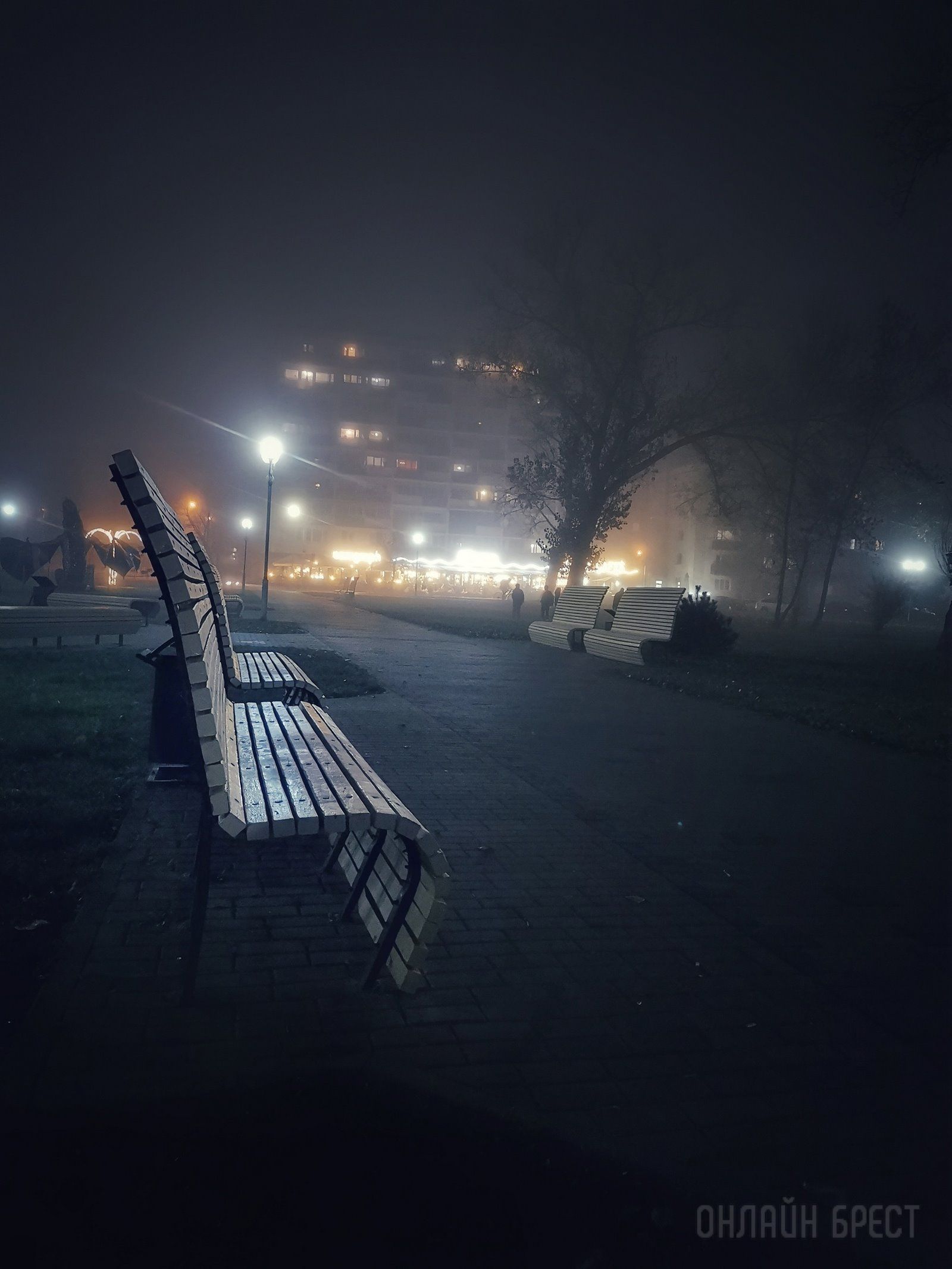 Читатель: Брест накрыло красивым туманом