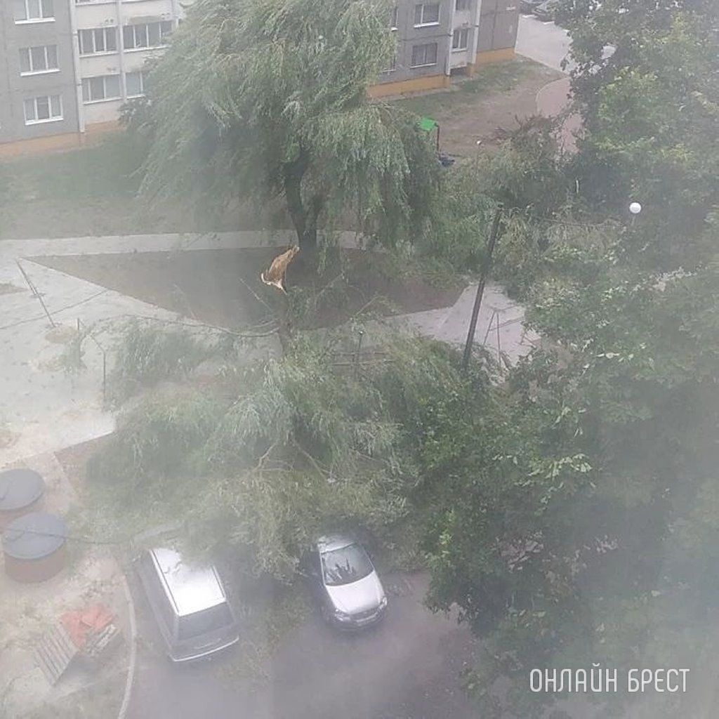 Сегодня в Пинске от непогоды пострадали машины