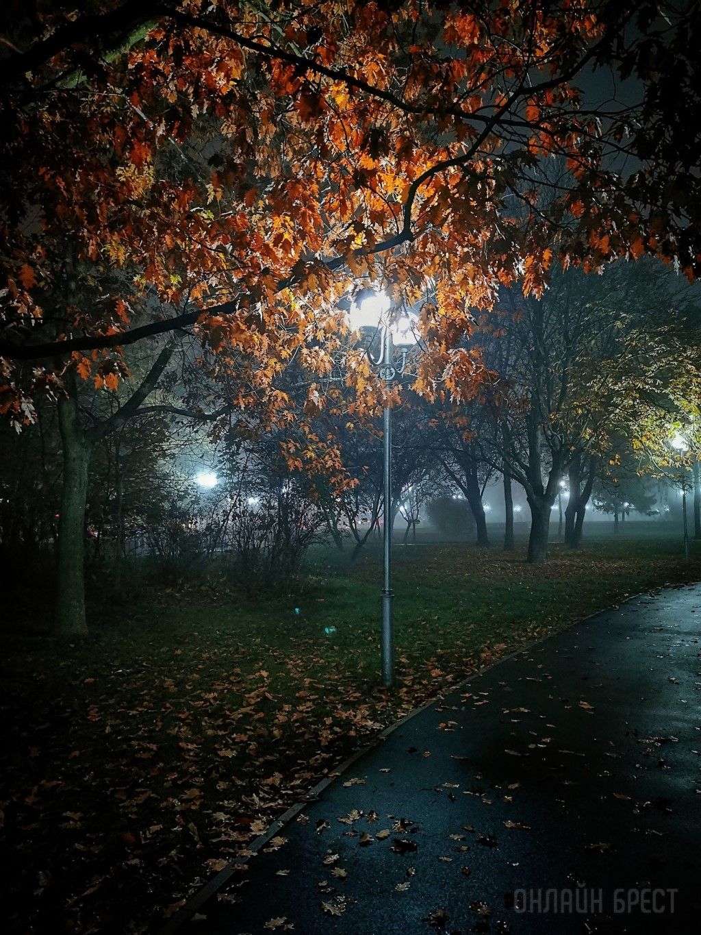 Немного фотографий ночной Набережной в Бресте