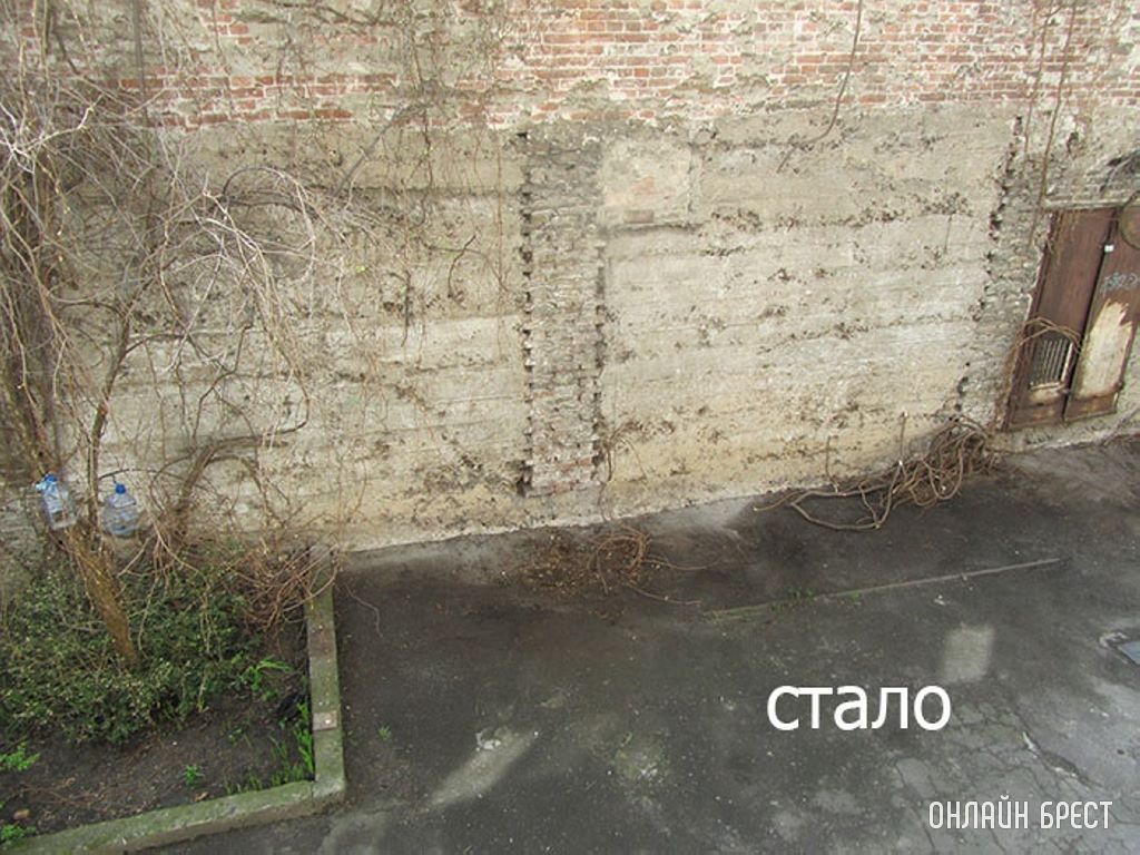 Во дворе дома по ул. Советской, 107 в Бресте срубили виноград. Более 20 лет зелень радовала не только жильцов дома, но и посетителей двора