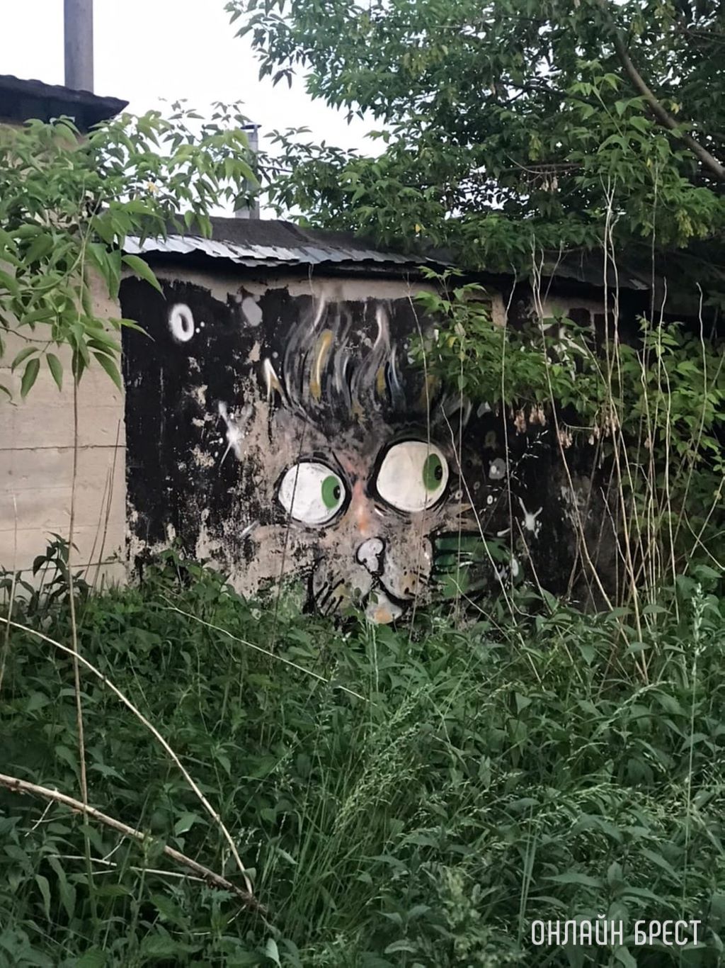 В закоулках Бреста