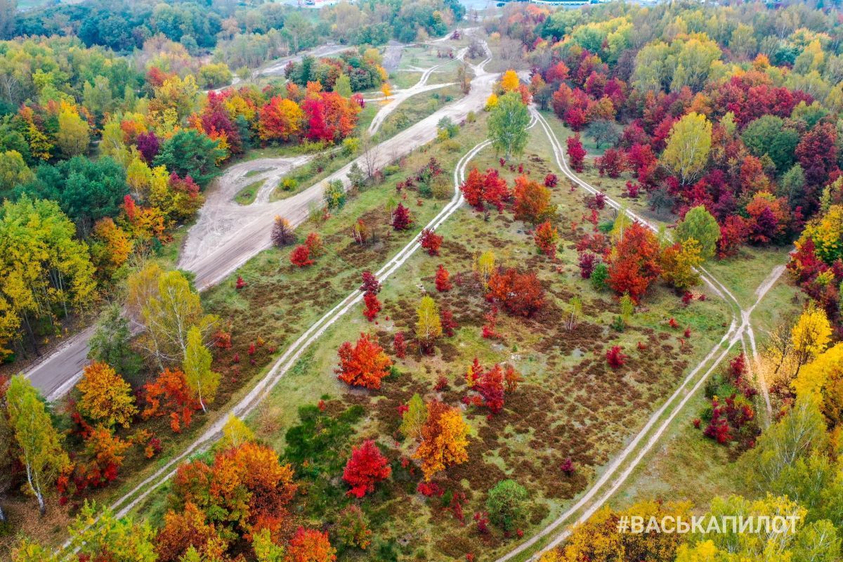 Посмотрите на осенний Брест с высоты