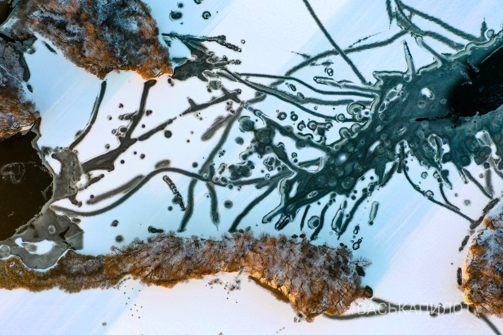 Брест. Посмотрите, как выглядит Мухавец с высоты