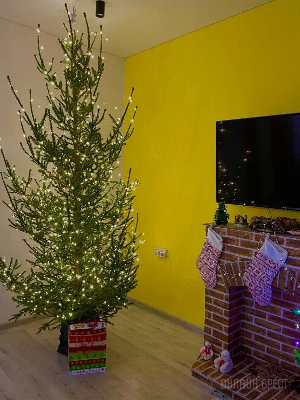 Новогодние красавицы наших читателей