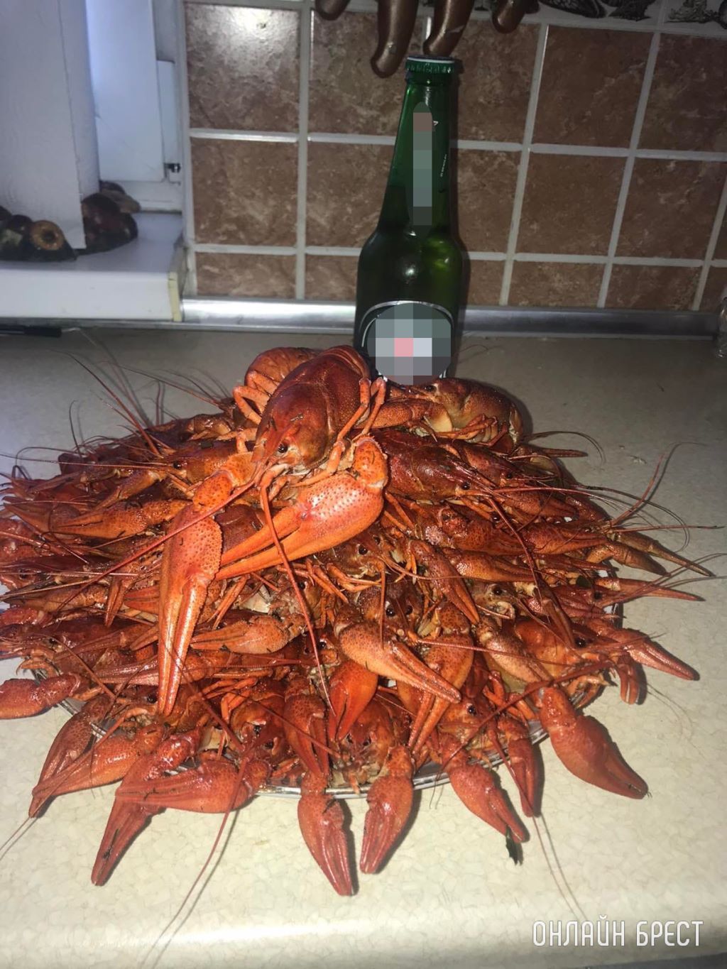 Улов жителя Бреста