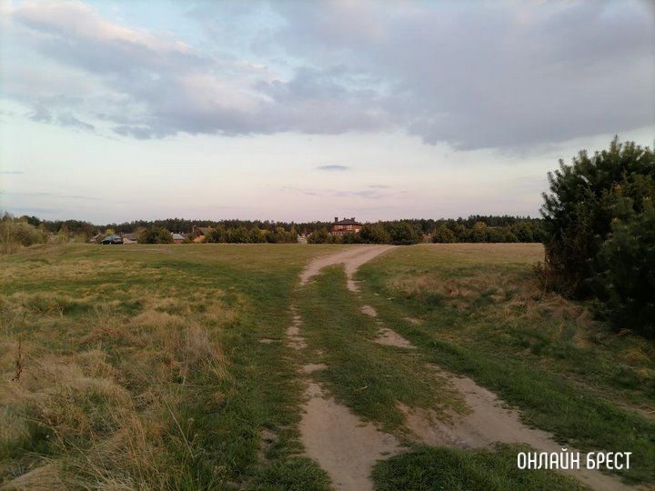 Читатель: Брестский район, д.Волки. Поехали отдохнуть на природу и ужаснулись от происходящего