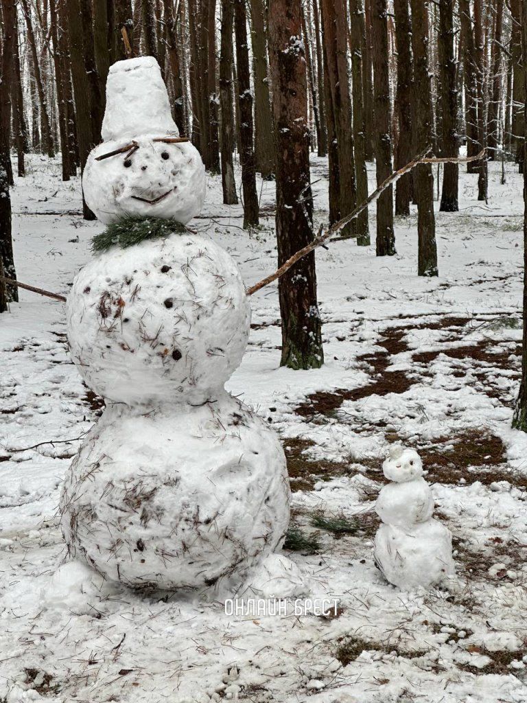 Снеговики от наших читателей