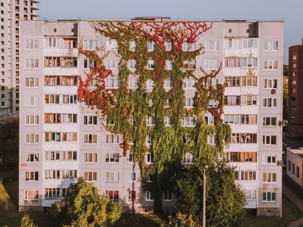 Виноградный дом в Минске