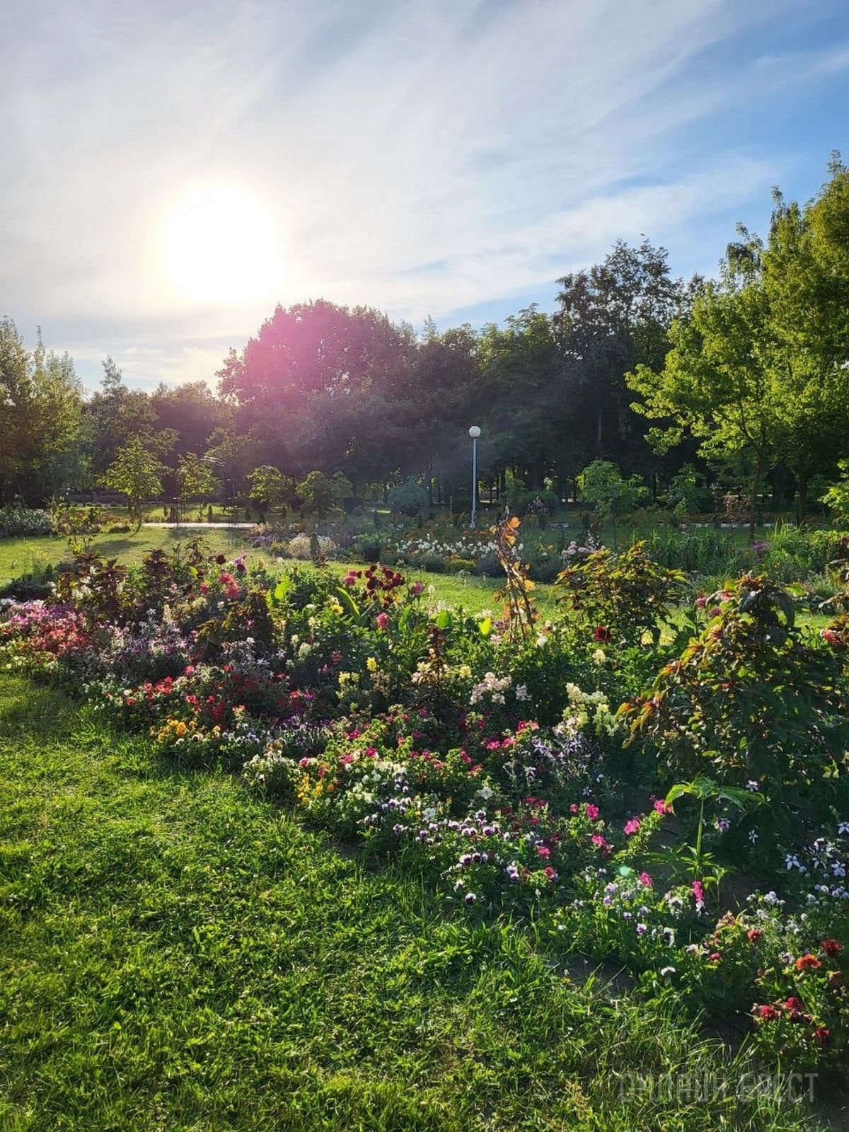 Читатель: Красивая клумба в Бресте на территории БрГТУ