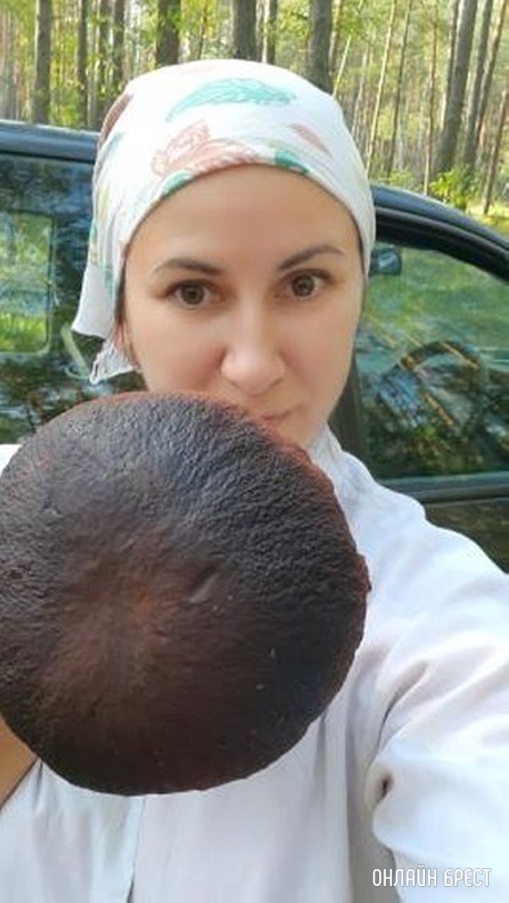 Такие грибочки в Ивацевичском районе (д. Оброво)