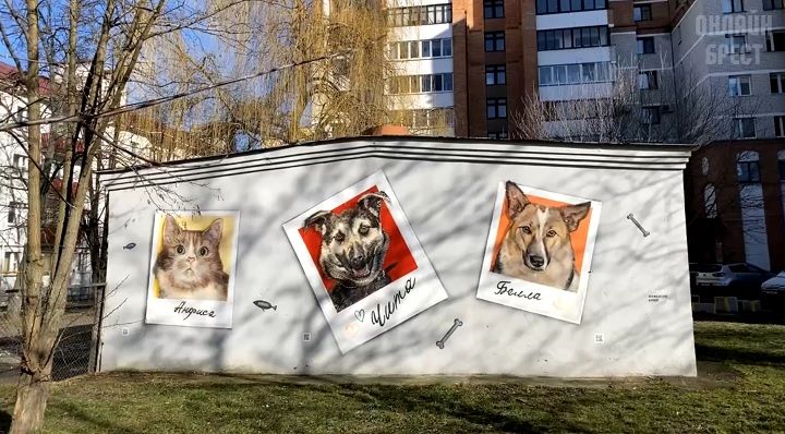 Читатель: Стрит-арт в центре Бреста с изображениями животных, спасенных от смерти