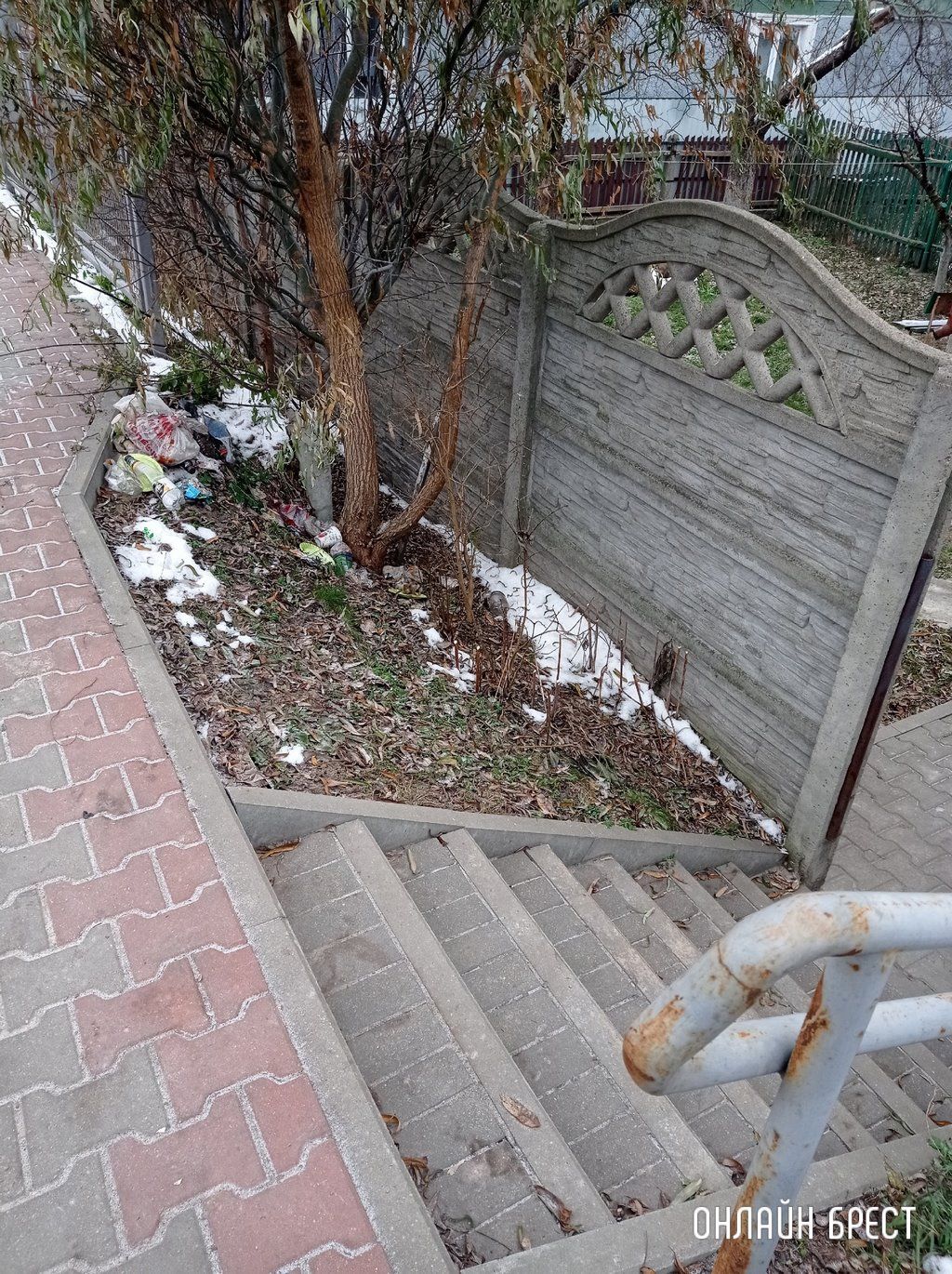 Читатель: Как так можно выбрасывать мусор? Брест, ул. Пионерская, в районе светофора, который на мост.