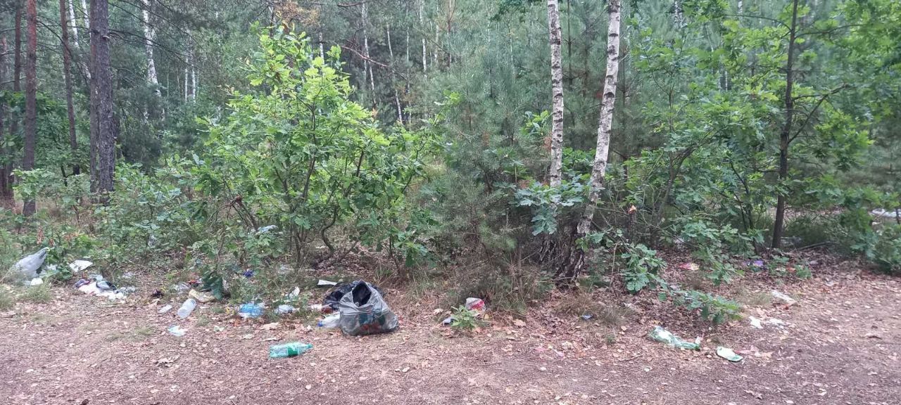 Как отдыхать не нужно. Красный двор. Лес. Правый берег озера