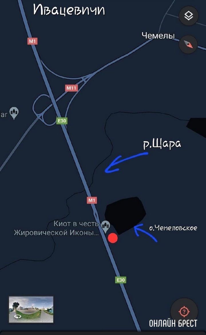 Читатель: Пропала кошка. Ситуация произошла ночью 7 июля на автодороге Минск-Брест