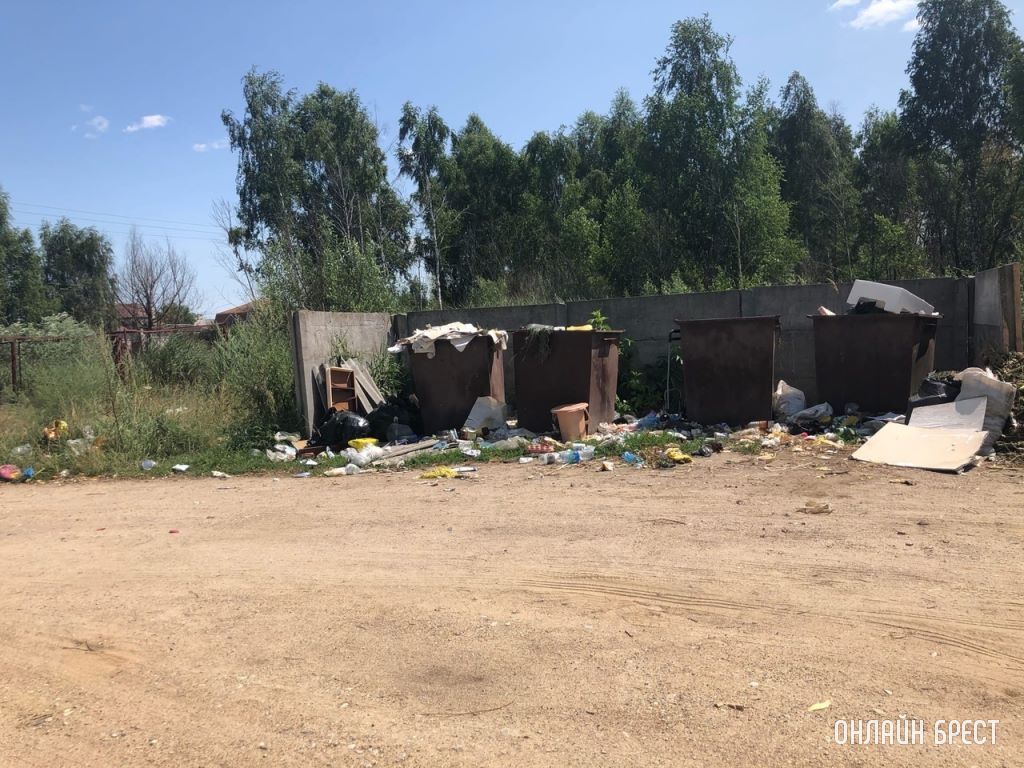 Читатель: Деревня Именин, Кобринский район. Деревня примыкает к городу. Такое происходит не редко