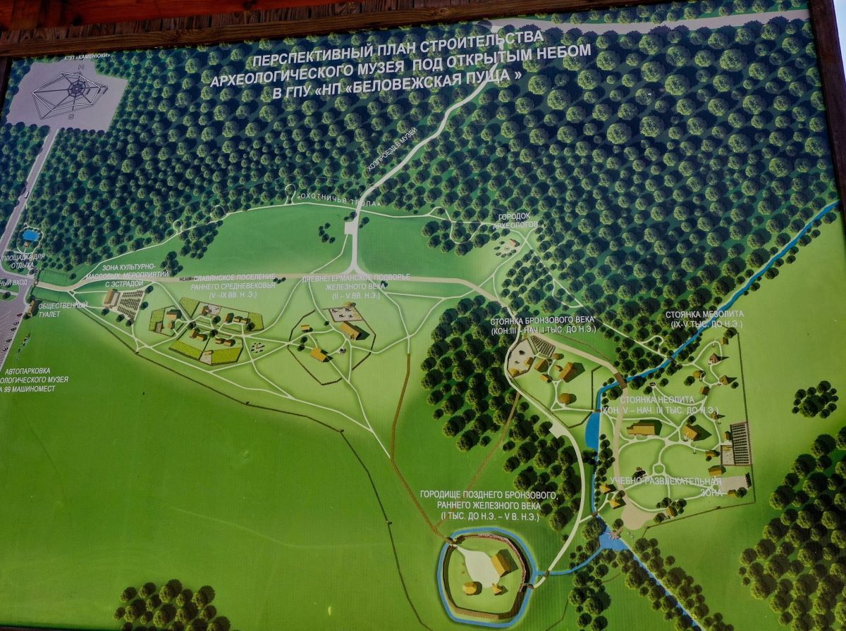 Посмотрите, как выглядит с высоты археологический музей под открытым небом в Беловежской пуще