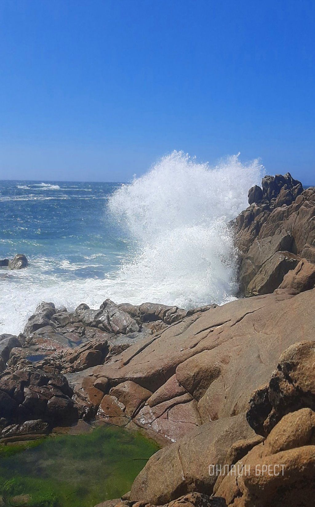 Читатель: Привет Бресту из Португалии