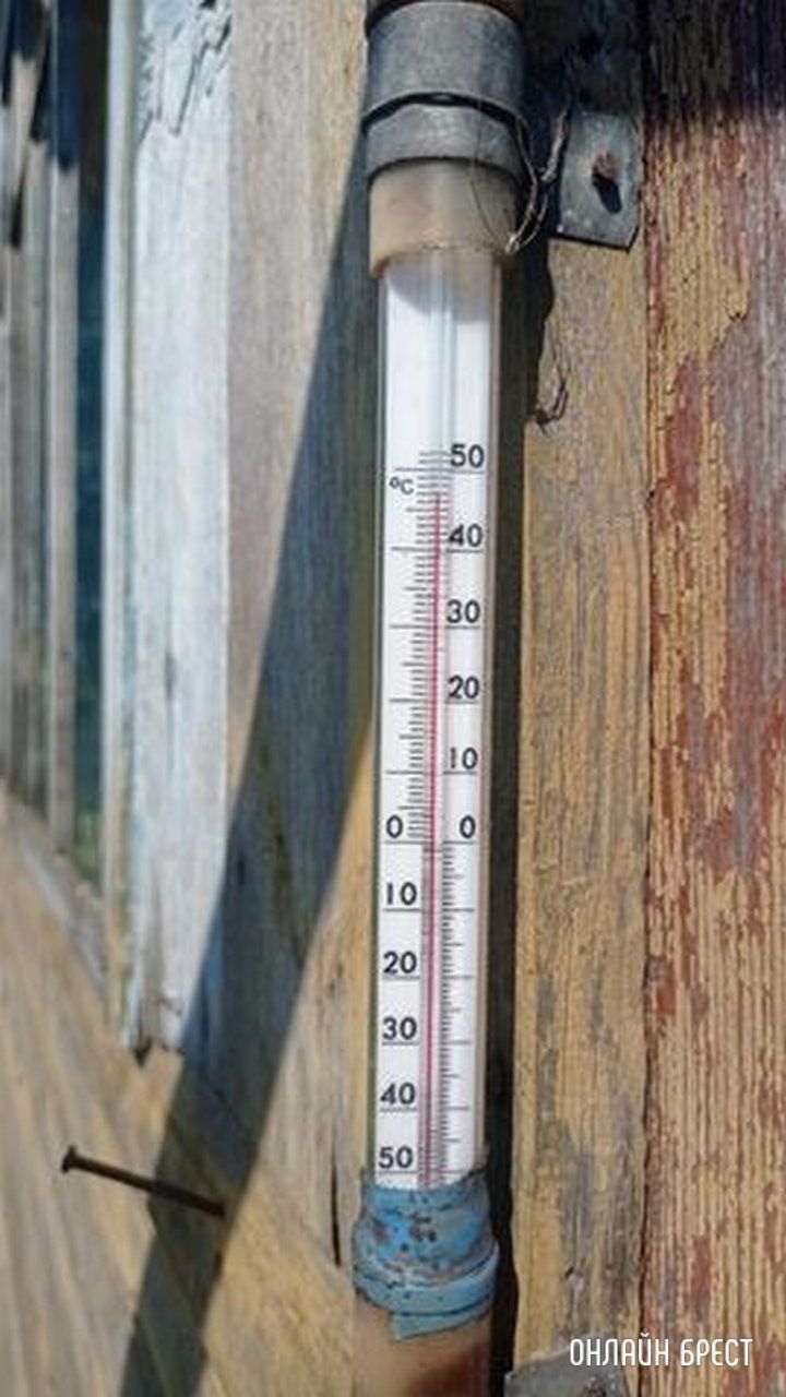 Читатель: Брестский район. Вчера на солнце было 47 градусов тепла