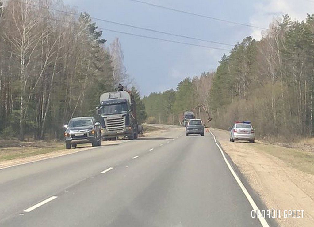Очевидец: В Ивацевичском районе лесовоз растерял брёвна