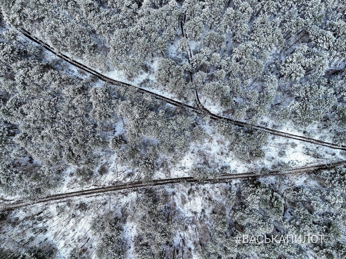Очень красиво! Красный двор в Бресте с высоты