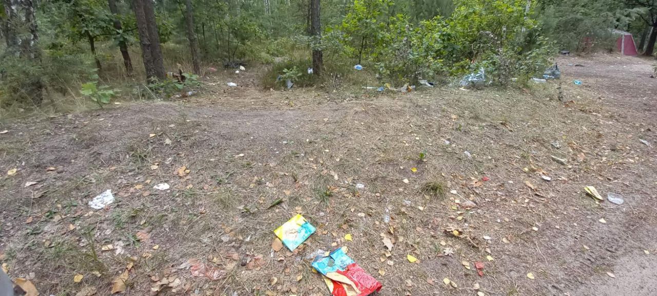 Как отдыхать не нужно. Красный двор. Лес. Правый берег озера