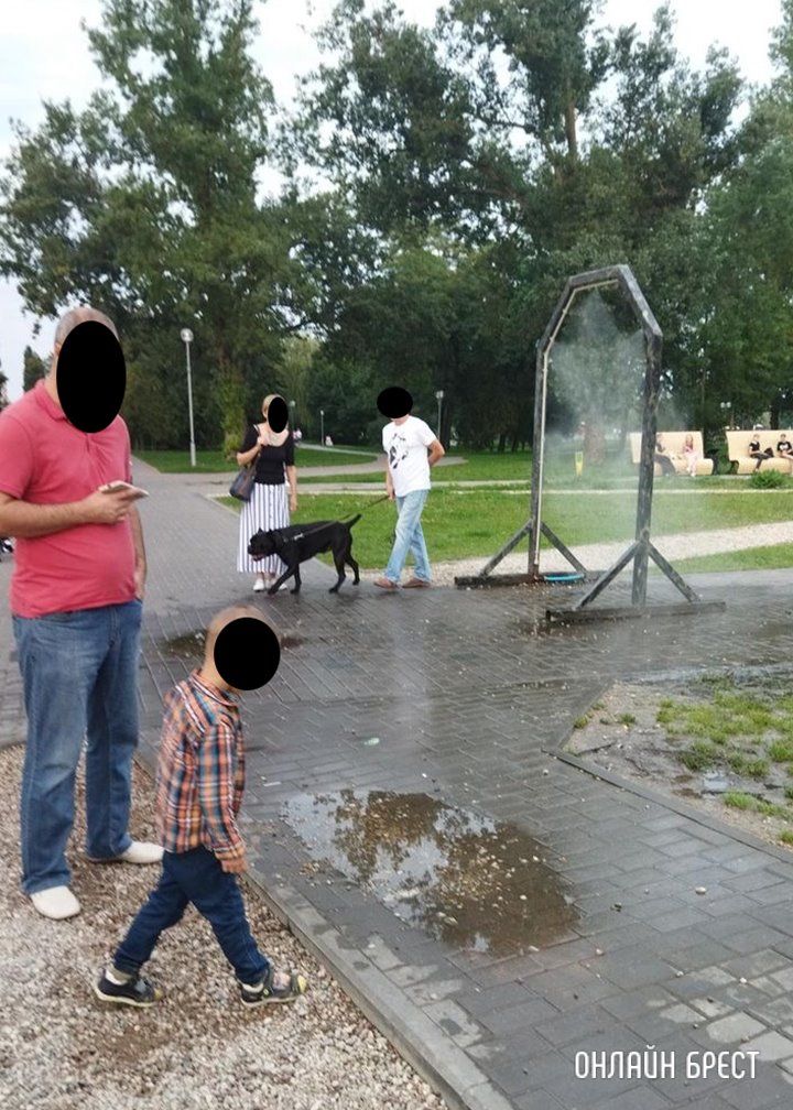 Читатель: Почему владельцы больших собак не надевают намордники своим питомцам?  Брест, Набережная