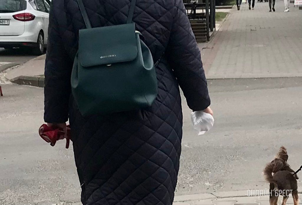 Что может грозить за нарушение правил выгула и содержания собак