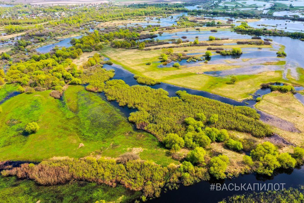 Посмотрите, как красиво! Река Припять во время разлива