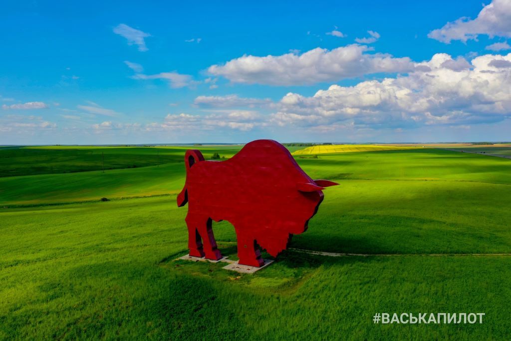 Зубр на трассе Брест-Минск