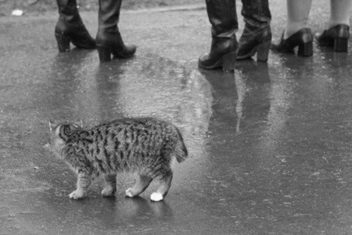 Не смогла не написать данный пост