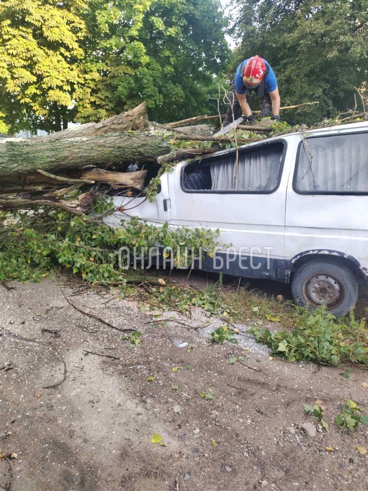 Читатель: Последствия ночной непогоды в Бресте. На ул. Куйбышева и ул. Янки Купалы деревья упали на машины